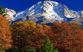 Snowy mountain orange trees night - a mountain free wallpaper