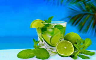 Limeade glass mint palm blue - aquirax uno free wallpaper for desktop