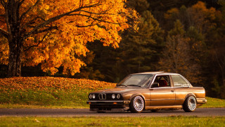 Car tree autumn leaves fire - fine art free wallpaper