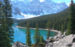 Mountain lake pine snowy mountains - covered mountain free wallpaper