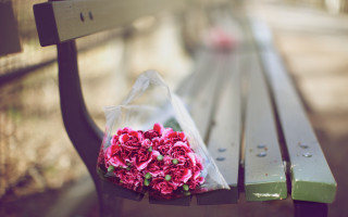 Flowers bench sunny blurry bouquet - the bench free wallpaper