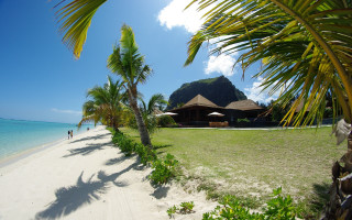 Beach hut palm trees sand - the sand free wallpaper