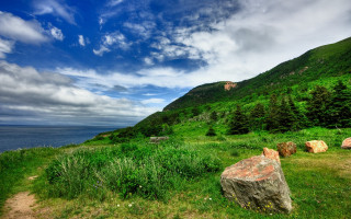 Grassy field rock trees hill - a grassy field free wallpaper