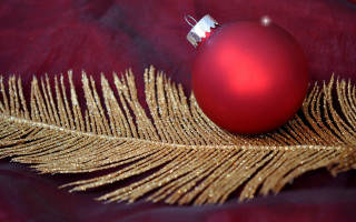 Red ornament gold feather red - a red ornament free wallpaper