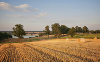 Hayfield lake trees bales forest - heavy grain free wallpaper