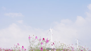 Flower field windmills blue sky - a matte painting free wallpaper for desktop