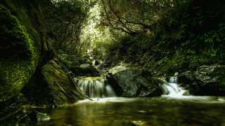 Small waterfall forest mossy rocks - a small waterfall in a forest free wallpaper
