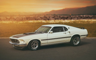White mustang mountain sunset desert - dennis flanders free wallpaper