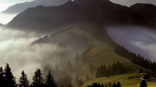 Mountain forest fog clouds lake - fog free wallpaper