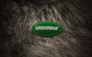 Greenpeace sticker furry animal nature - sticker free wallpaper