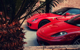 Red sports cars parking lot 3 - still free wallpaper