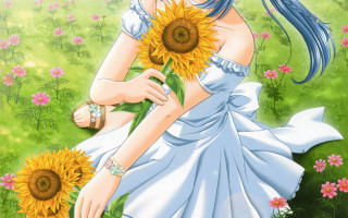 Girl sunflower field white dress - a girl in a dress holding free wallpaper