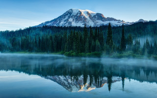 Mountain snow capped reflection forest - peak free wallpaper