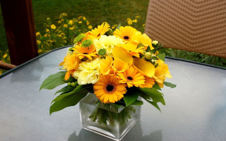 Yellow flowers vase outdoor sunny - outside free wallpaper