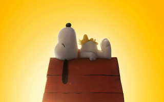Stuffed animals wooden plank yellow - a yellow background behind them free wallpaper