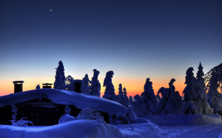 Snowy forest moonlight building night - a moon in the sky above free wallpaper