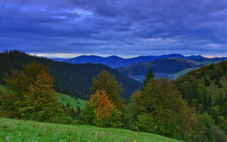 Grassy field trees mountains clouds - a grassy field free wallpaper