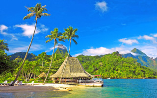 Tropical beach palm hut ocean - tropical free wallpaper