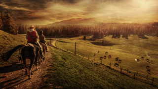 Woman riding horse dirt road - cow free wallpaper