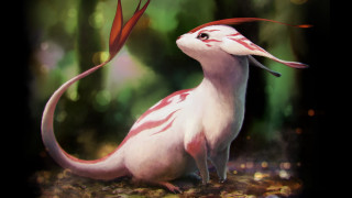 Long tailed bird grass red - brom free wallpaper