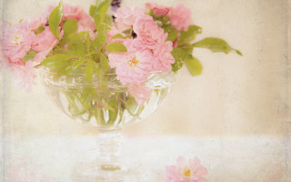 Pink flowers vase butterfly still - a vase free wallpaper