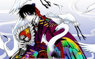 Man bird shoulder rainbow bird - his shoulder free wallpaper