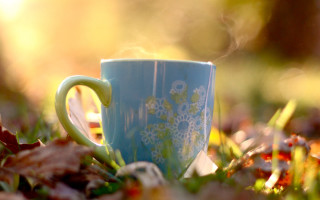 Blue coffee cup autumn bokeh - top of a grass free wallpaper