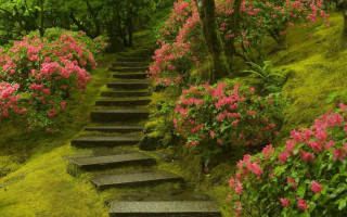 Lush hillside flower path puzzle - a set of steps free wallpaper