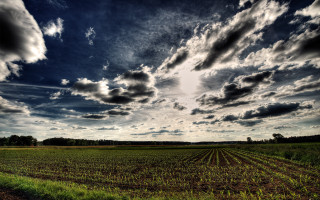 Field dirtroad cloudysky grass cityscape - hdr free wallpaper