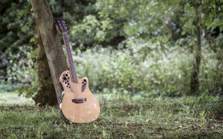 Guitar leopard print tree woods - its neck free wallpaper