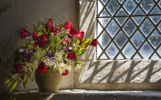 Vase flowers window ledge latticed - a vase of flowers free wallpaper