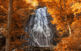 Waterfall trees orange leaves forest - orange leaf free wallpaper