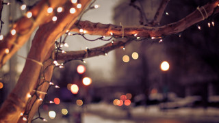 Glowing tree snow night bokeh - magical free wallpaper for desktop
