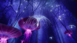 Purple forest fireworks butterflies hologram - firefly free wallpaper