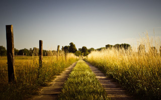 Dirt road tall grass fence 2 - a dirt road in a field free wallpaper