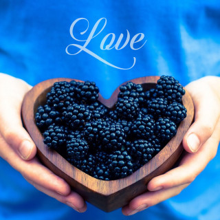 Person holding blackberries love blue - a person holding free wallpaper