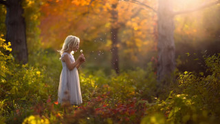Little girl white dress dandelion - a little girl free wallpaper