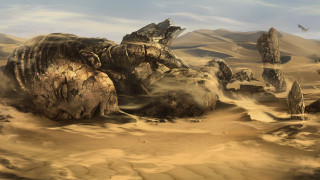 Desert rocks sand bird matte - overhead in the distance free wallpaper