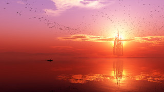 Sunset boat birds water person - a sunset free wallpaper