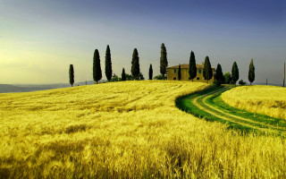 Field house trees sky landscape - beautiful landscape free wallpaper