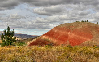 Red hill tree field landscape - ada hill walker free wallpaper for desktop