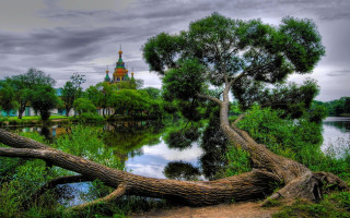 Leaning tree river church cloudy - beautiful landscape free wallpaper