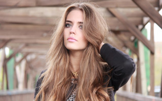 Longhair leopardprint posing blurry outdoors - plasticien free wallpaper