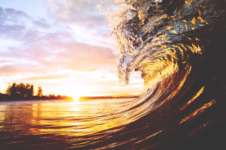 Wave sunset ocean trees background - cinematic free wallpaper for desktop
