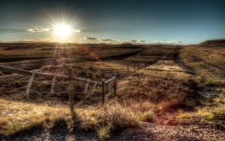Fence field sunshine grass bushes - in a field free wallpaper