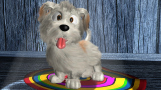 Dog rainbow rug blue curtain - blender free wallpaper