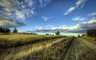 Dirt road fence grass trees - widescreen free wallpaper