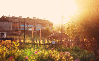 Fence building flowers bridge sunset - anamorphic free wallpaper
