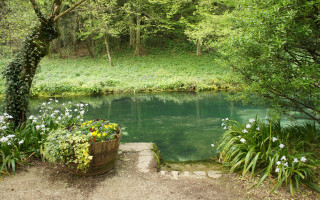 Pond trees flowers stonewalkway bench - a stone walkway free wallpaper