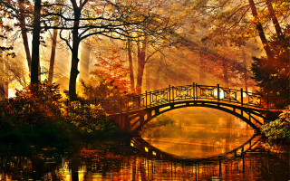 Bridge autumn leaves fall magic - a bridge over a body of water free wallpaper